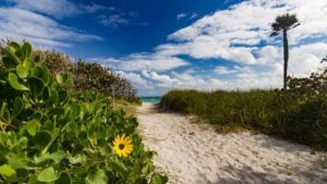 7 Must See Camping Spots On The Beach In Florida (With locals Insight & Map)