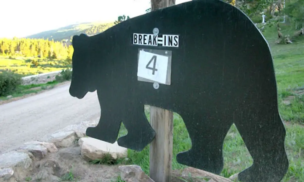 Can A Bear Break Into An RV? (Stopping Unwanted Guests)