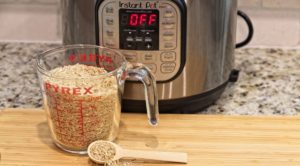 Can You Use An Instant Pot In Your RV