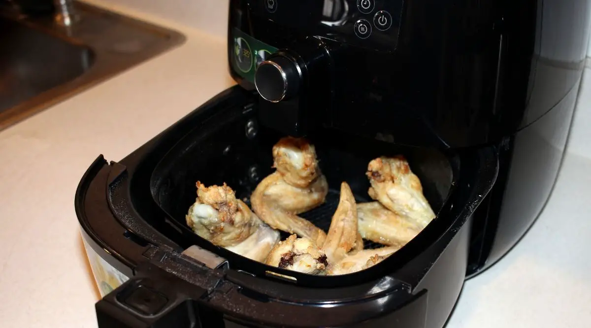 Can You Use An Air Fryer Camping? (What Can You Cook?)