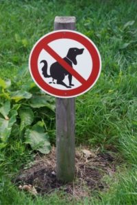 dog-pooping-sign-in-a-campground 3