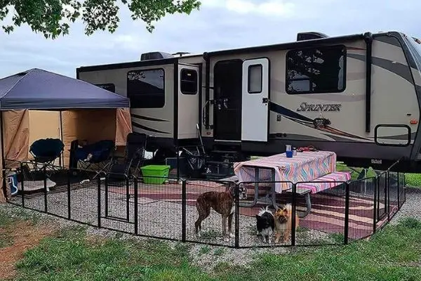 RV Camping With Multiple Dogs (A Survival Guide) 11