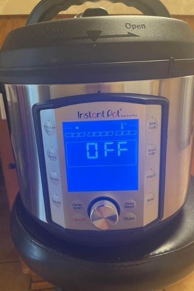 Tips and Tricks for Using an Instant Pot in Your RV - TREKKN